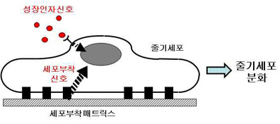 related picture
