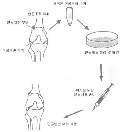 related picture